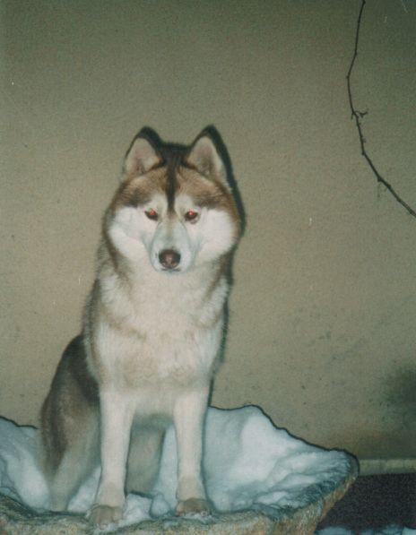 myra (47).jpg